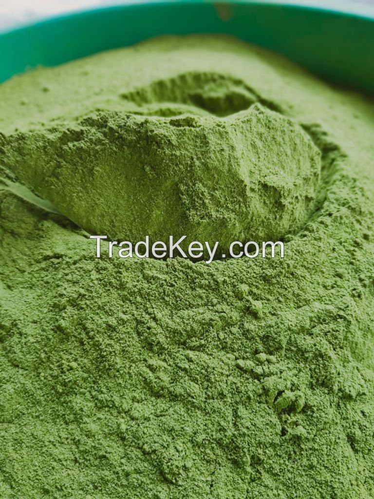 Moringa Powder