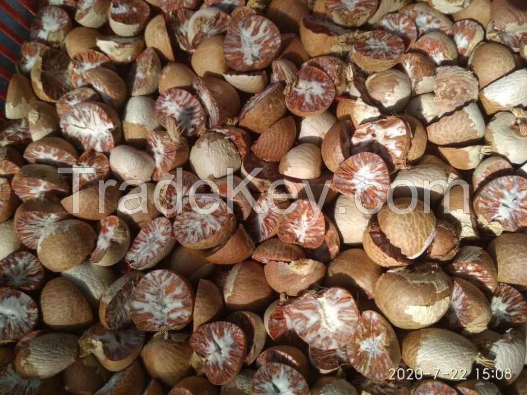 Betel nut half cut