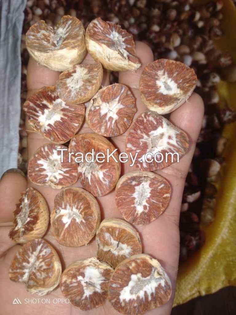 Betel nut half cut