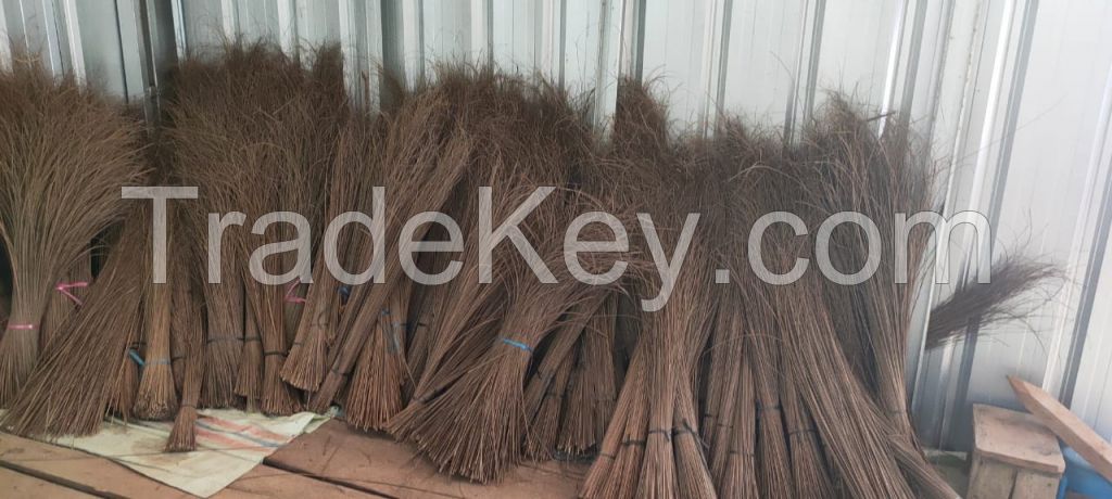 Palm Broomstick