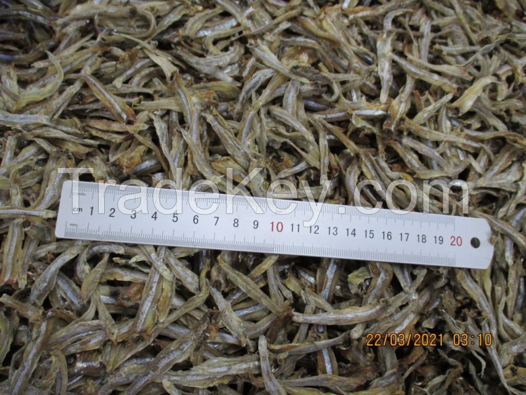 DRIED ANCHOVY