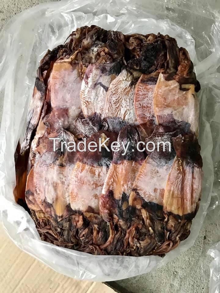 Dried Black  Squid