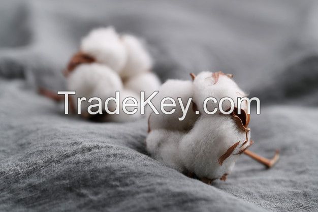 Raw Cotton