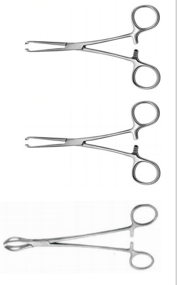 Tissue Forceps