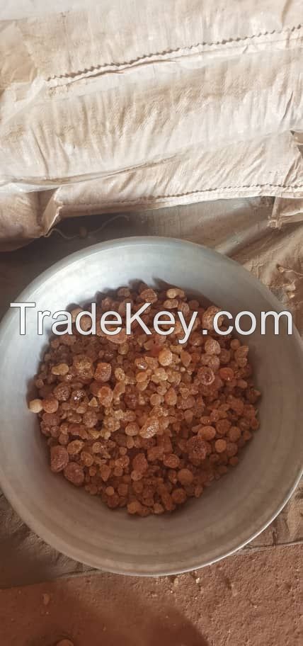 Gum Arabic Hashab (acacia senegal)