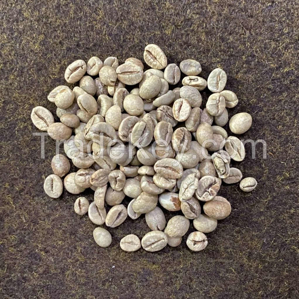 Java Robusta Green Coffee Beans : Polish