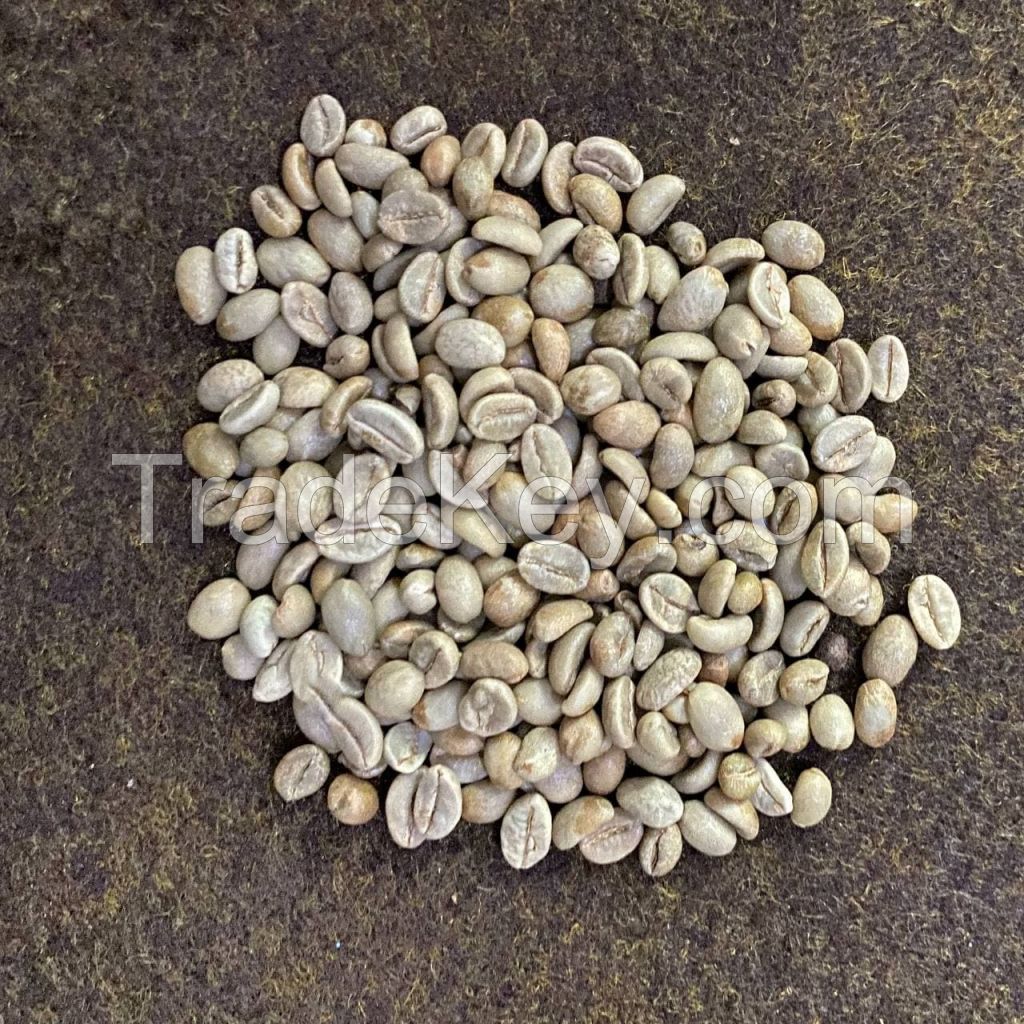 Java Arabica Green Coffee Beans : G1