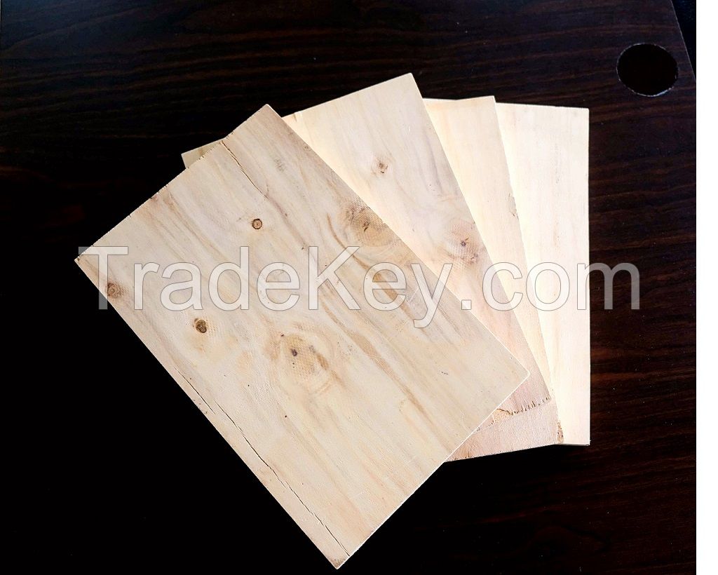 Vietnam high quality cheap price packing plywood AB BC face T/T L/T payment 