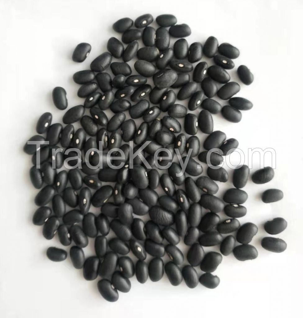 Black kidney beans