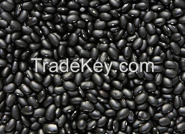 Black kidney beans