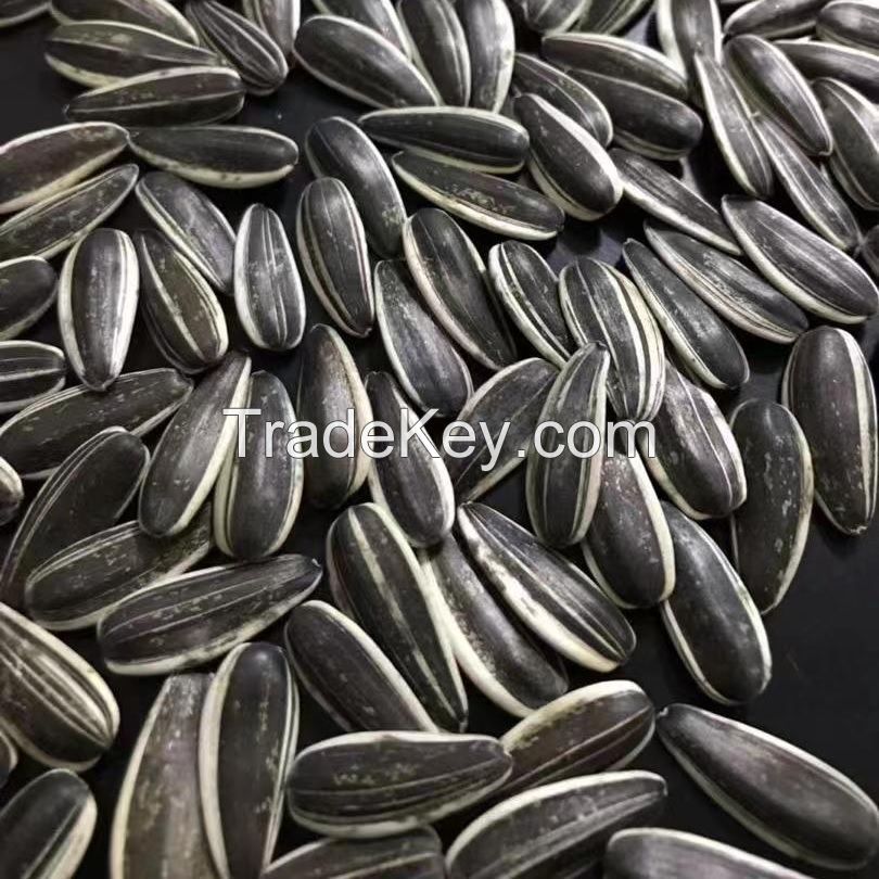 Sunflower Seeds