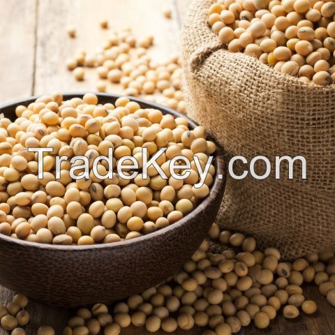 Top Grade Soybean seeds