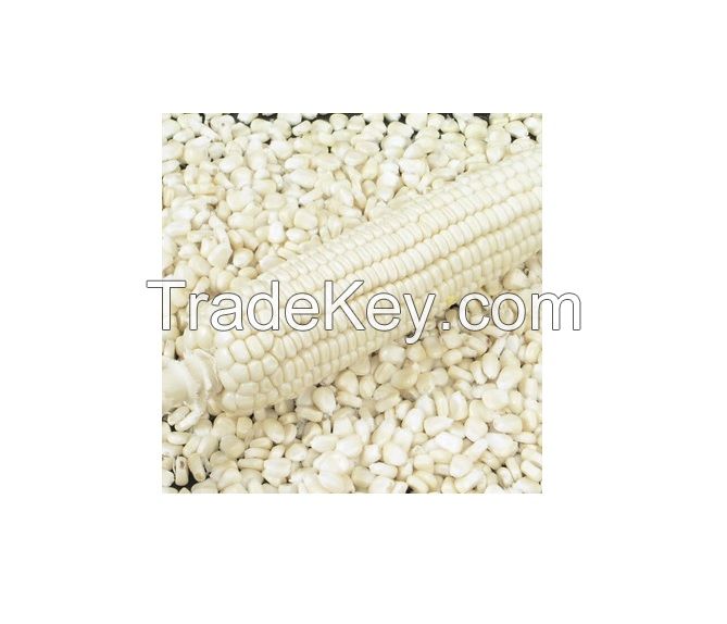 White corn