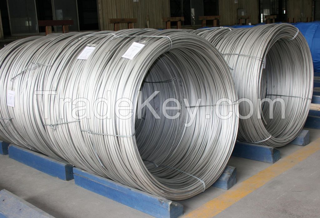 Steel Coils