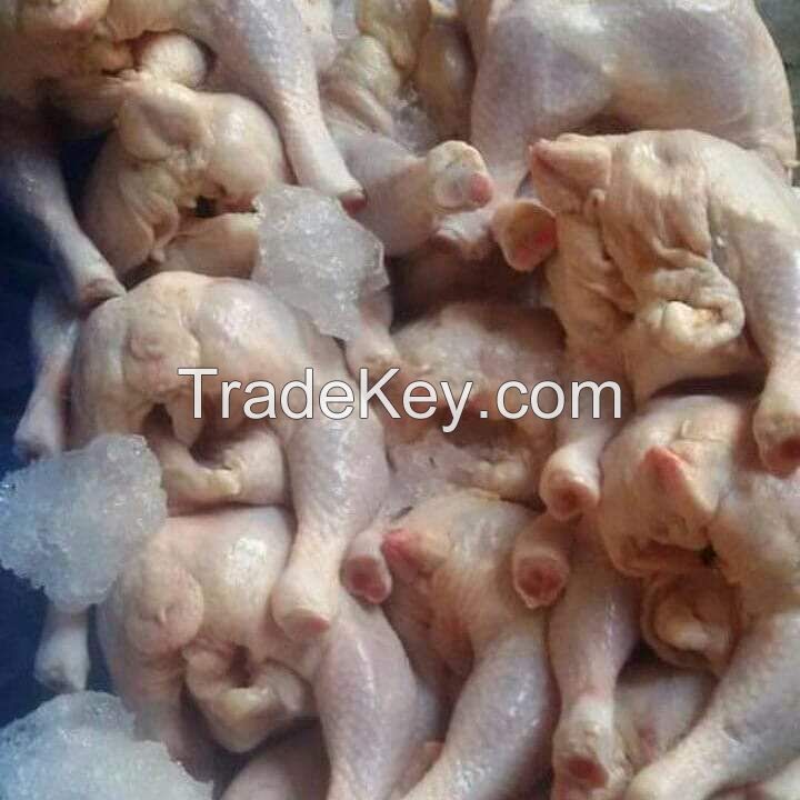 best wholesale price for 100% quality Frozen chicken 
