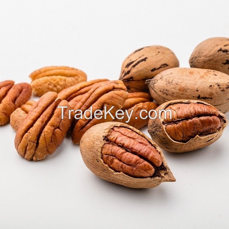 walnut / cashew nuts / almond nuts