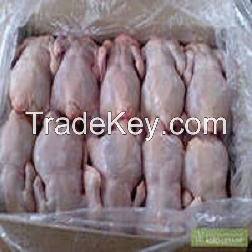 Premium Supplier ! Halal Frozen Whole Chicken Halal Chicken Processed Meat