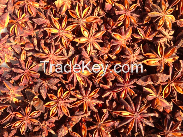 Star Anise