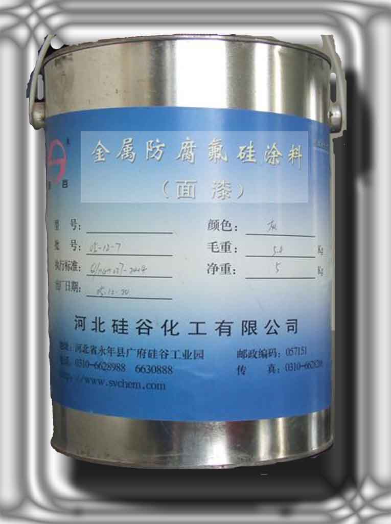 Metal anticorrosion fluorine silicon coating