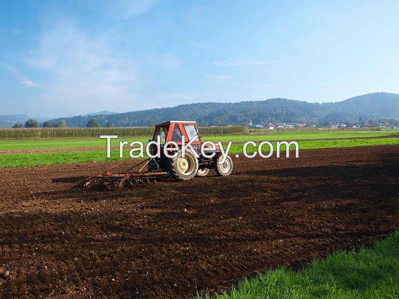 Corn Silage In Pakistan