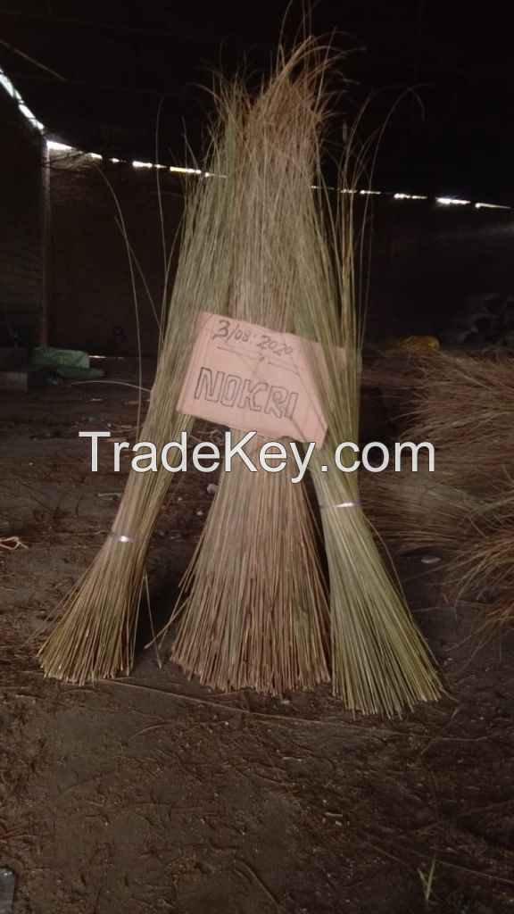 Palm Ekel Brooms