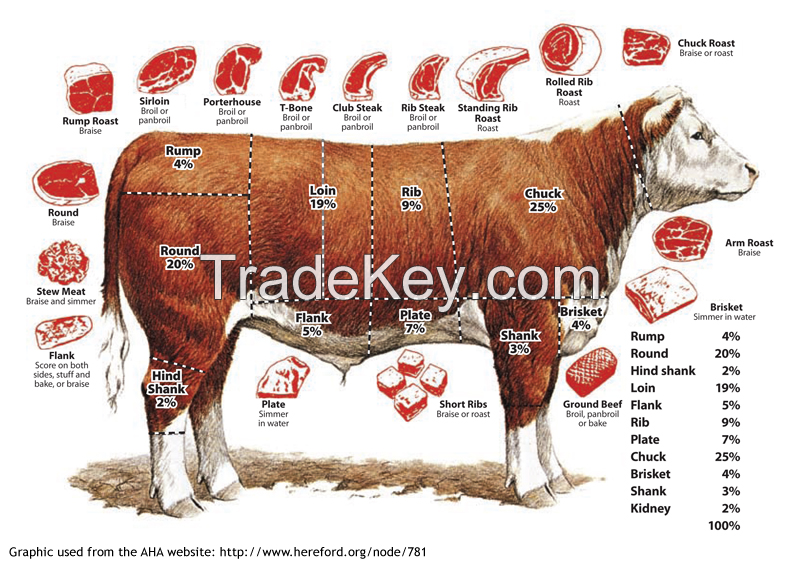 Frozen Cow beef Argentina Premium Quality.