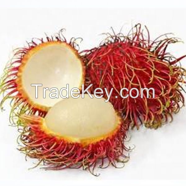 Selling  Top Grade Fresh Rambutan 