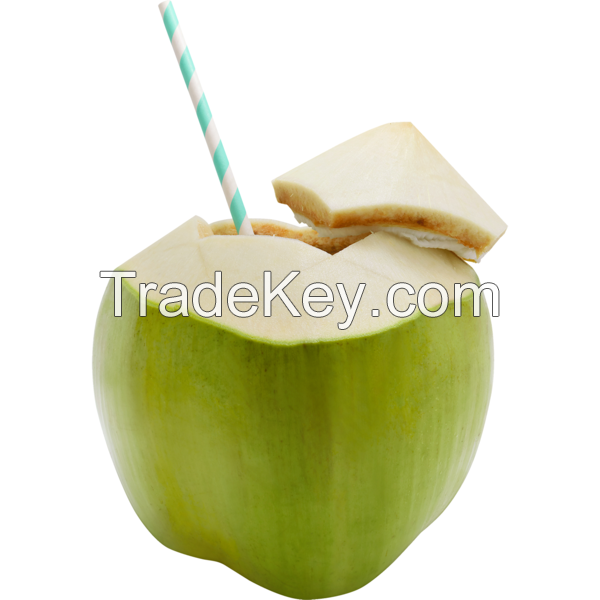 Fresh Coconut From Vietnam - High Quality Diamond Shape Young Coconut 