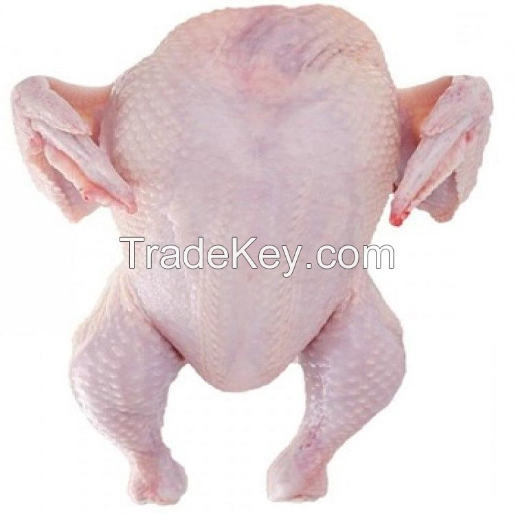 Top quality Frozen Whole Chicken/ Chicken Feet/ Wings/ Legs 