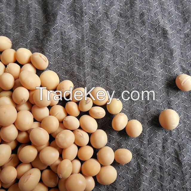 Soybeans