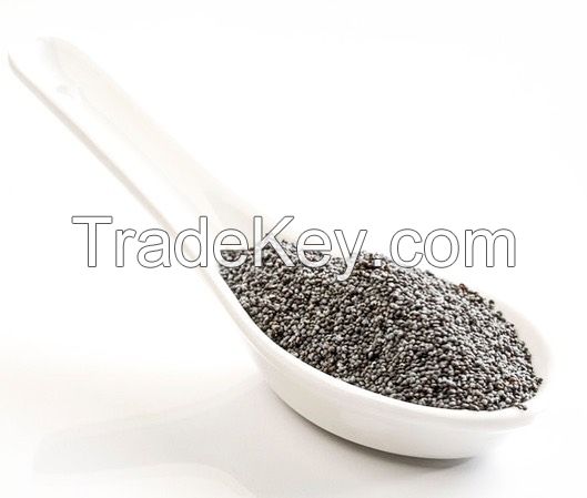 Poppy Seeds