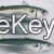 Horse Mackerel, Salmon, Ribbon Fish ,Eel, Sea Bass