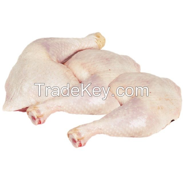 Grade A whole frozen chicken ready for export