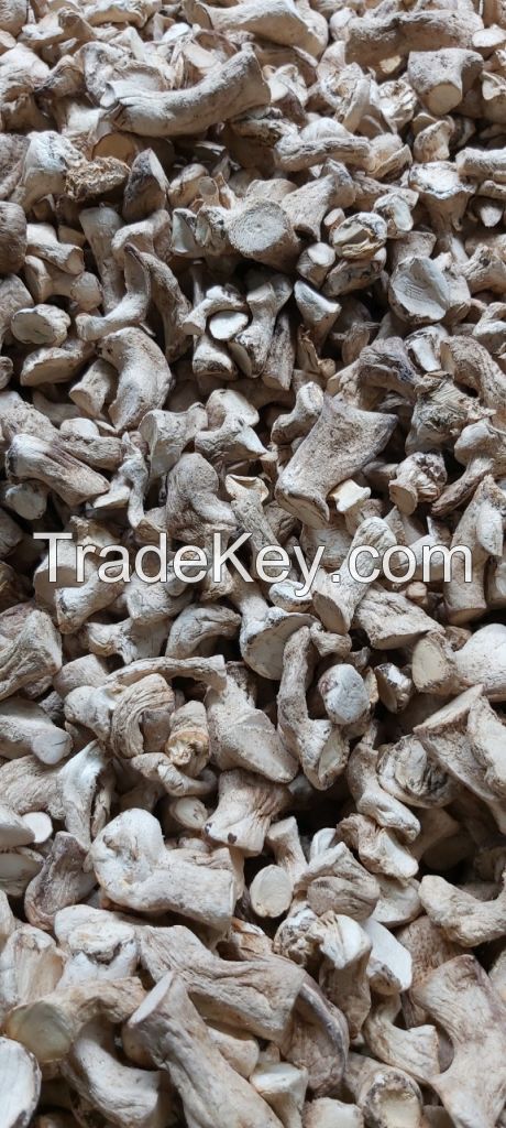 ORGANIC MUSHROOMS MADE IN VIETNAM MS.KARINA +84 39 979 4665