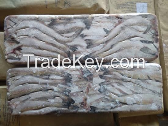 Export of fresh-frozen fish from Russia.