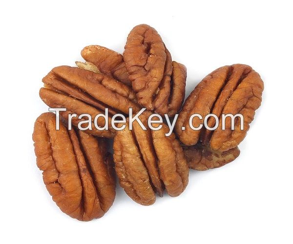 raw/roasted baked salted pecan nuts with shell Pecan nuts ready available in shell/Pecan nuts