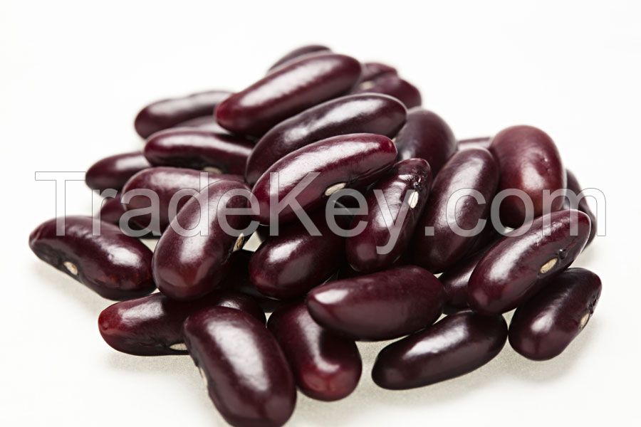 Fresh Kidney Beans