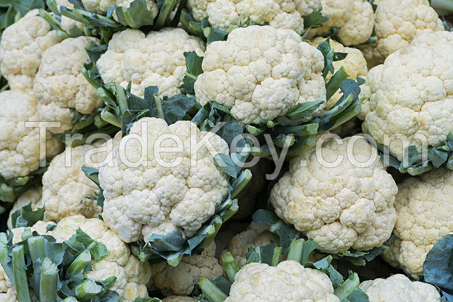 Fresh Cauliflower