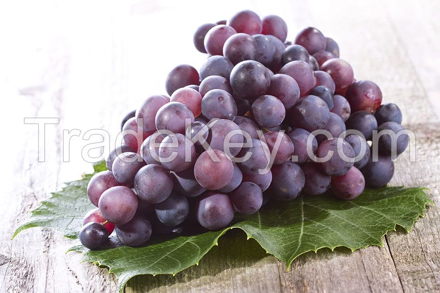 Black Grapes