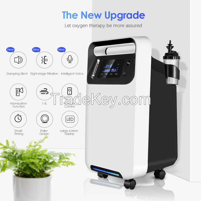 Low Price Oxygen-Concentrator-1 10L Hight-Purity Household Portable Oxygen Concentrator +18457343285