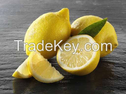 Fresh Lemon fruits