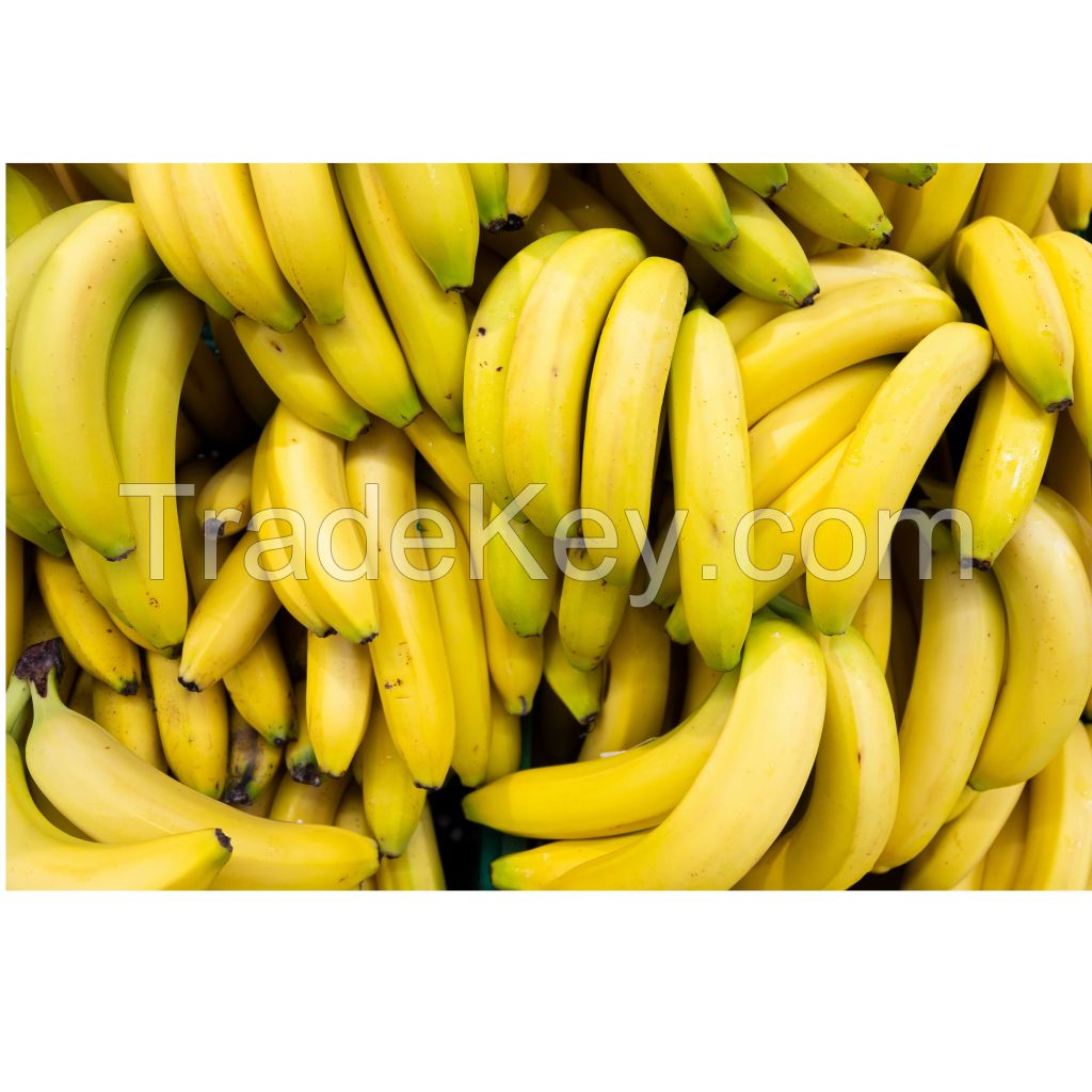 Fresh Cavendish Banana