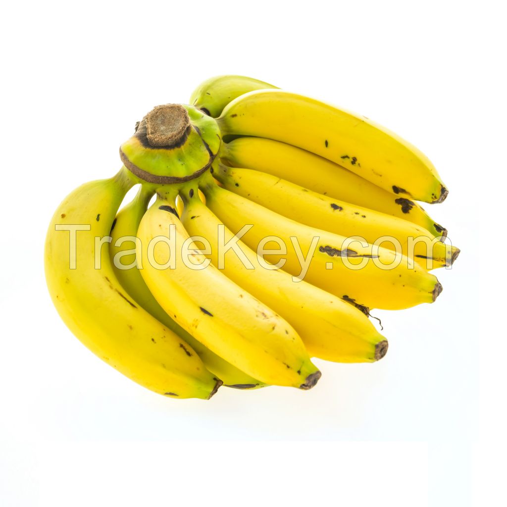 Full Nutrition Fresh Green Banana Increase Muscles Organic Long Yellow Cavendish Banana