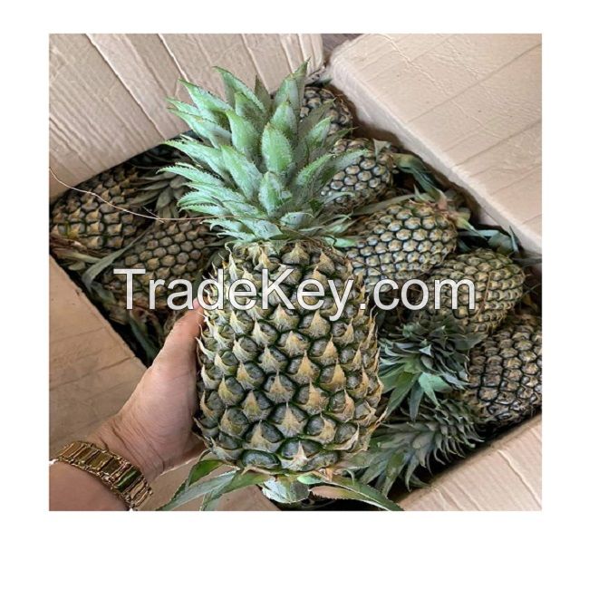 fresh pineapple / canned pineapple in syrup - Wholesale for pineapple canned / dried pineapple