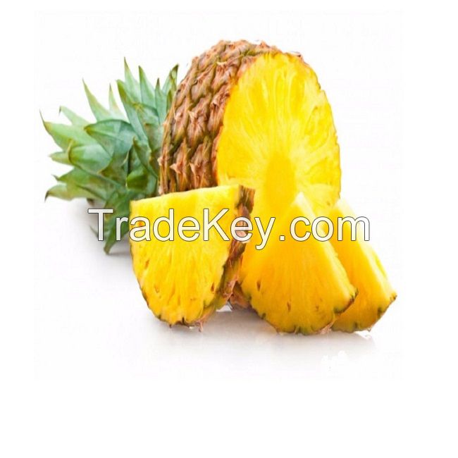  Fresh Sweet Pineapple for EU USA UAE Japan Singapore Free tax