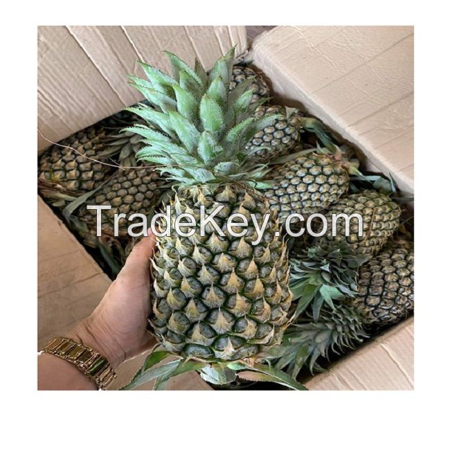 Top Quality VIETNAMESE 100% Pineapple_ Nutrition and benefits and Cheap price
