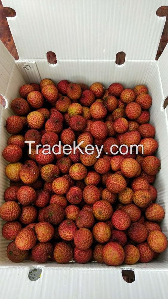 Chinese Fresh Lichee Fruit For Export