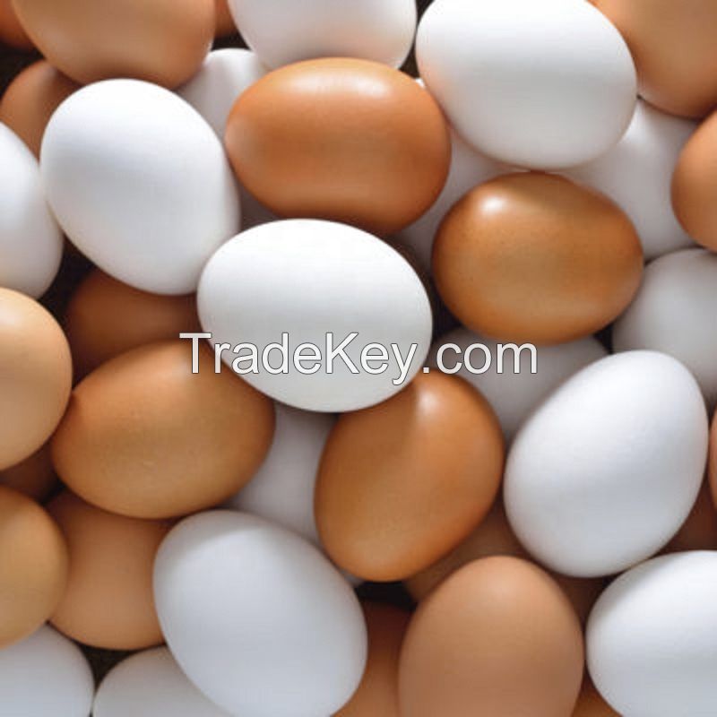 Fresh Table Chicken Eggs ( Brown and White)Bulk For Sale cheap price