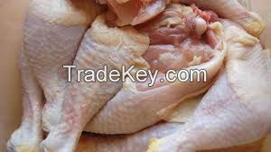 Frozen Halal HACCP ISO Whole Chicken and chicken parts