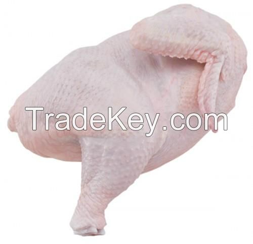 Frozen Halal HACCP ISO Whole Chicken and chicken parts